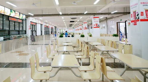 速看 丽水130家学校 幼儿园 获评餐饮服务食品安全a级单位