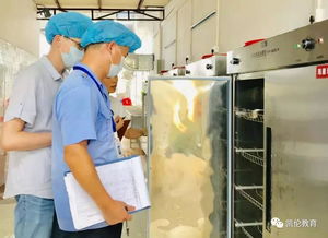 关注厨房工作,确保食品安全,星海园幼儿园迎接食品抽样监督检查