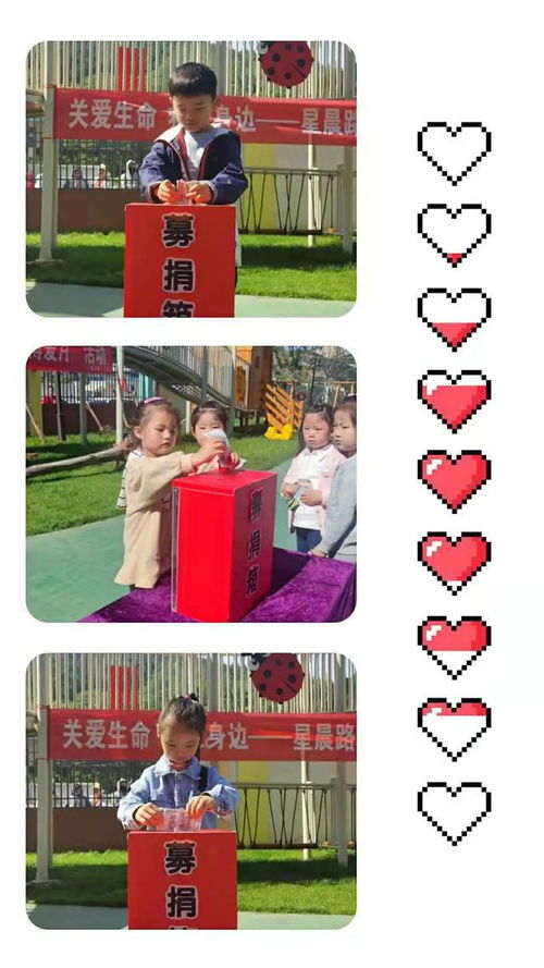 关爱生命,救在身边 星晨路幼儿园开展爱心募捐活动