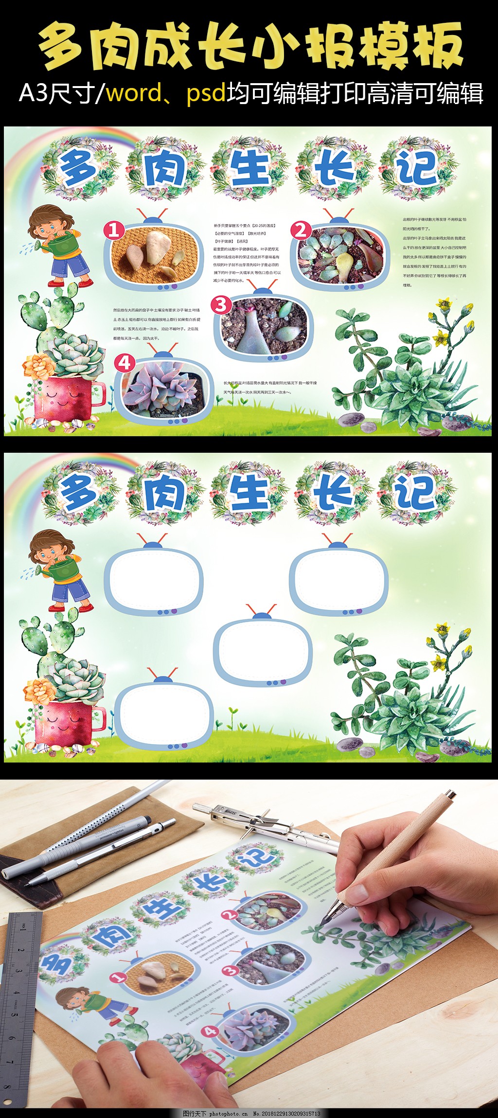 多肉植物成长记——幼儿园观察日记